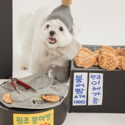 바잇미 붕어빵 메이커 노즈워크 장난감 (바스락/노즈워크)