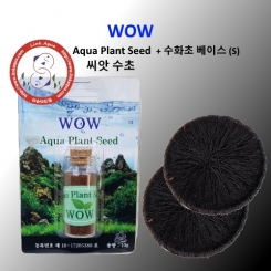 WOW 씨앗수초 10g + WOW 수화초 베이스(S) 2개