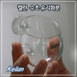 켈란 수초 유리화분 [K028]