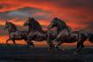 BOB LANGRISH: Fantasy Horses